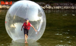 nice remarkable zorb ball to play